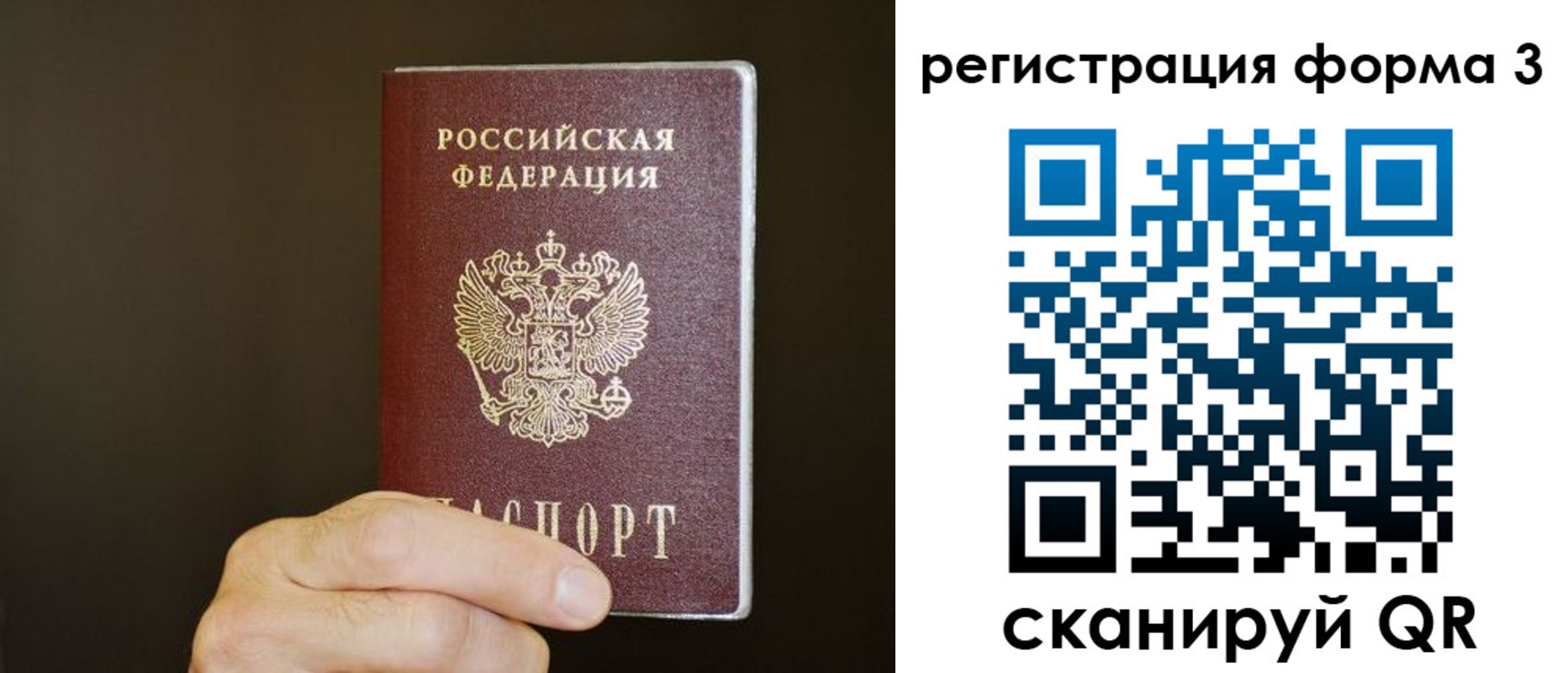 где прописаться в Коле